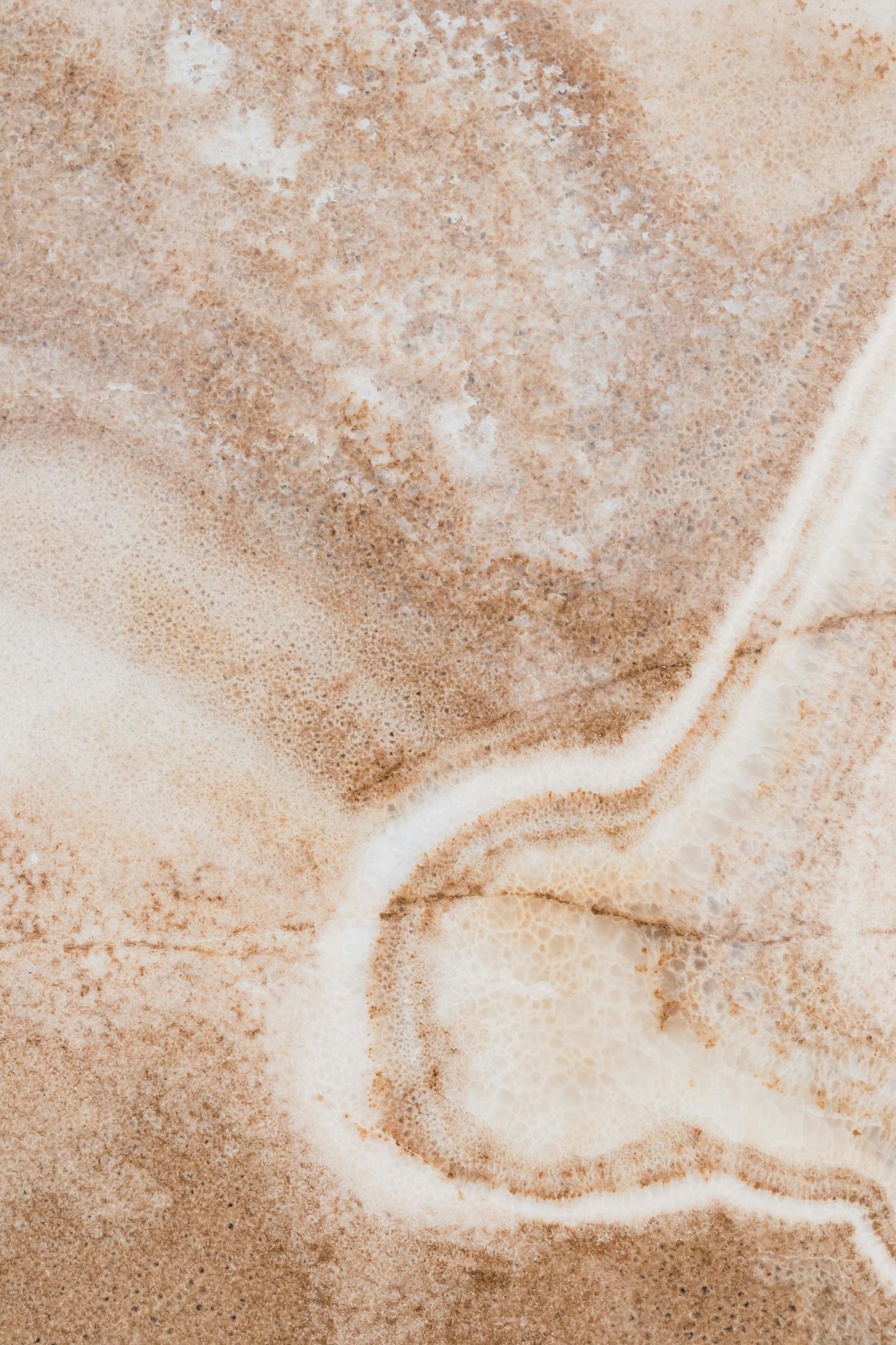Close-up view of elegant marble texture with natural earthy tones and intricate patterns.